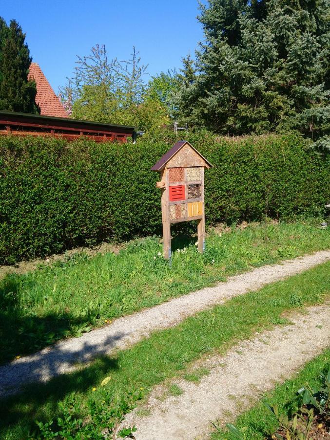 Ferienwohnungen Flora باد فيندشايم المظهر الخارجي الصورة